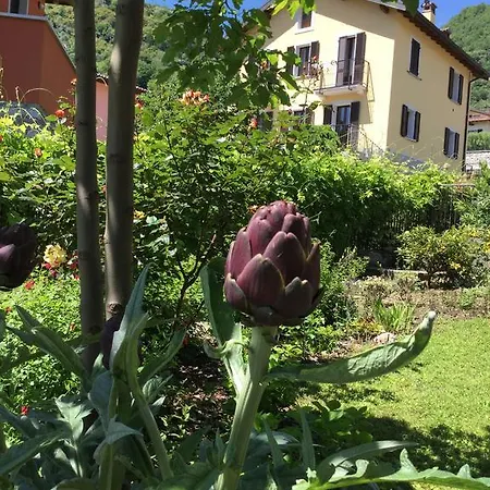 Il Giardinetto オッスッチョ